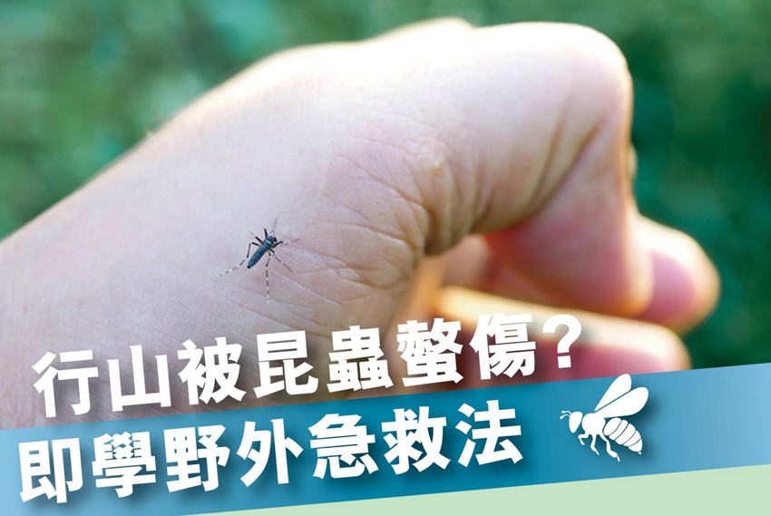 行山被昆蟲螫傷？即學野外急救法
