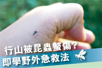 行山被昆蟲螫傷？即學野外急救法